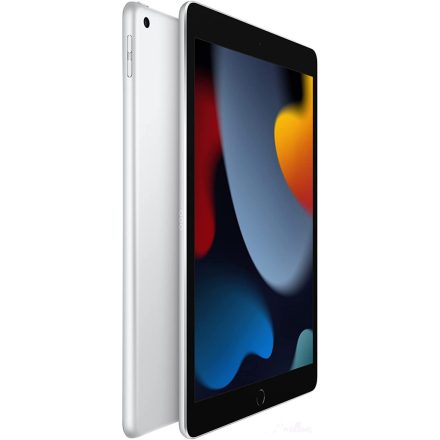 Apple iPad 10.2" 2021 64GB MK2L3, silver [W]